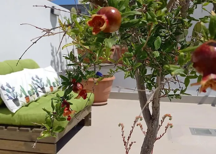 公寓 A Due Passi Temporary 特拉尼