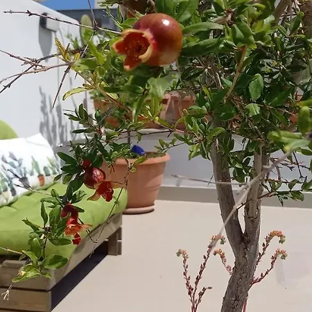 Apartment A Due Passi Temporary Trani